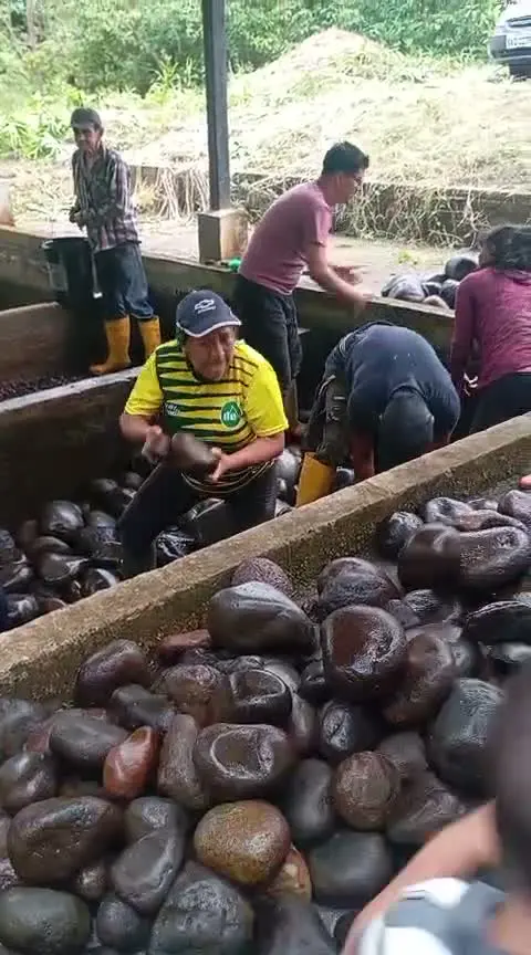 Minga de limpieza de los filtros de piedra (ver video)